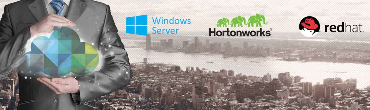 VMWare Haddop Nortonworks ScaleOut Storage Solutions